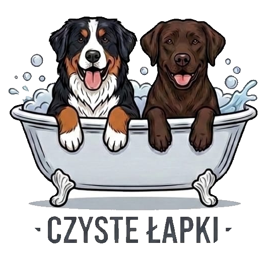 Czyste Łapki — samoobsługowa myjnia dla psów